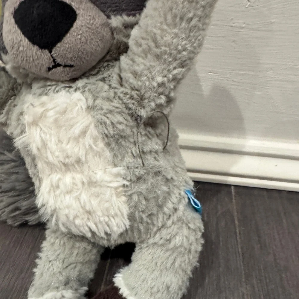 Bark Box Racoon Plush Toy for Pets Dogs